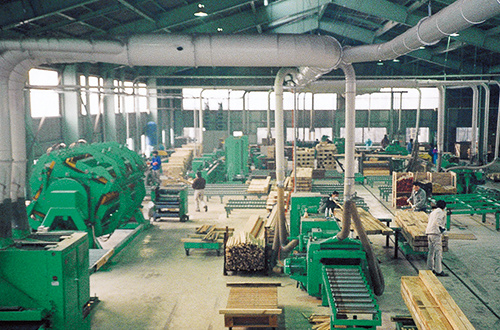 Production line for laminated wood