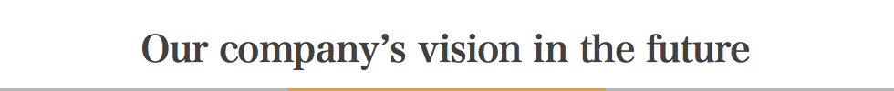 Our company’s vision in the future